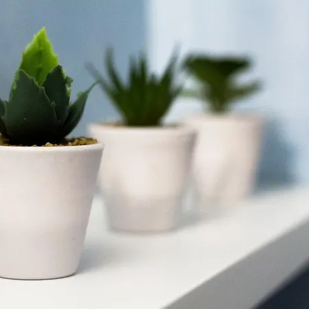 Apartament Luxury Philoxenia